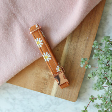 Halsband Falling Daisy