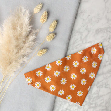 Bandana Falling Daisy