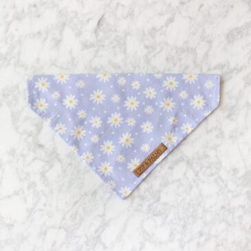 Bandana Daisy me Rollin'