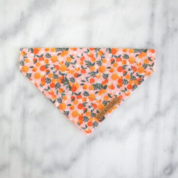 Bandana Fruity Flowers