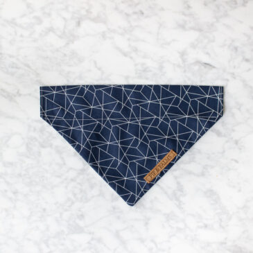 Bandana Levitating Lines