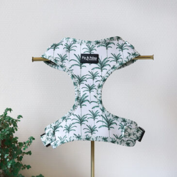 Harnas Perfect Palms