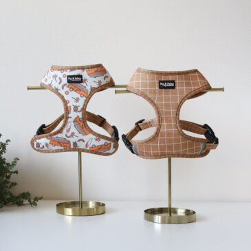 Reversible harnas Sand & Surf