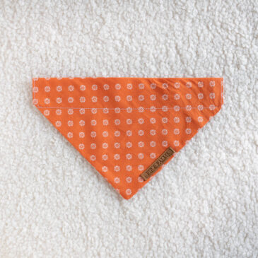 Bandana King of Orange