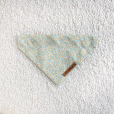 Bandana Minty Monday