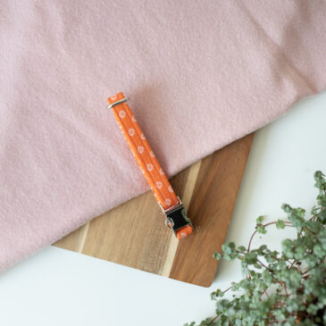 Halsband King of Orange