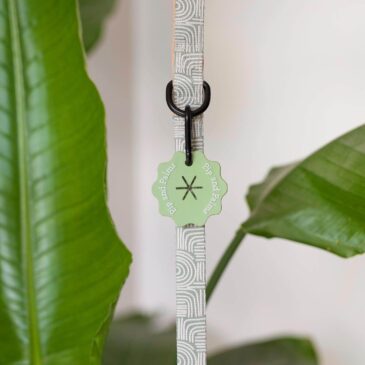 Poepzakjesdrager Groen