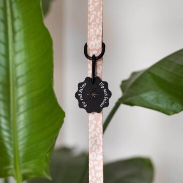 Poepzakjesdrager Zwart