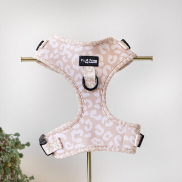 Harnas Into the Wild