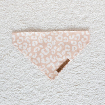 Bandana Into the Wild