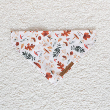 Bandana Autumn Vibes
