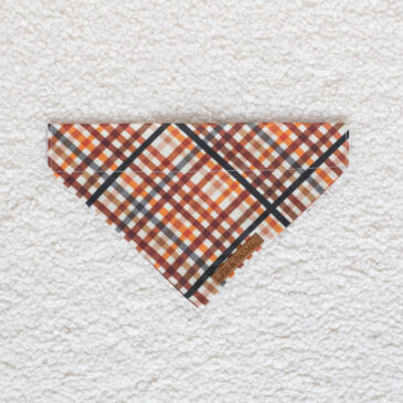 Bandana Cheeky Checks