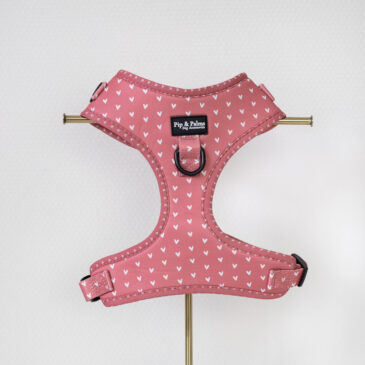 Harnas Love is in the Air