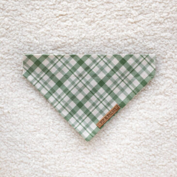 Bandana Perfect Picnic