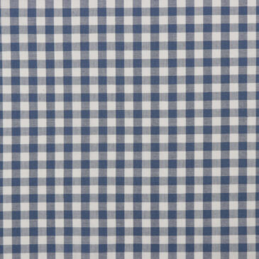 Checkered Blue print