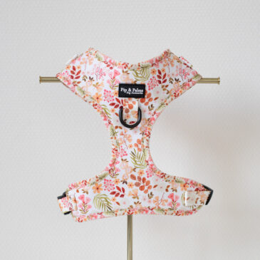 Harnas Beautiful Blossom