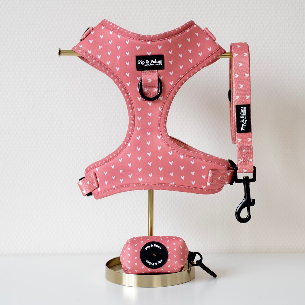 RTW Love is in the Air set