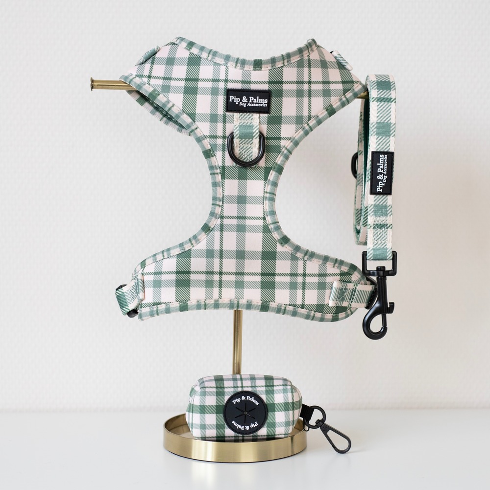 RTW Perfect Picnic set