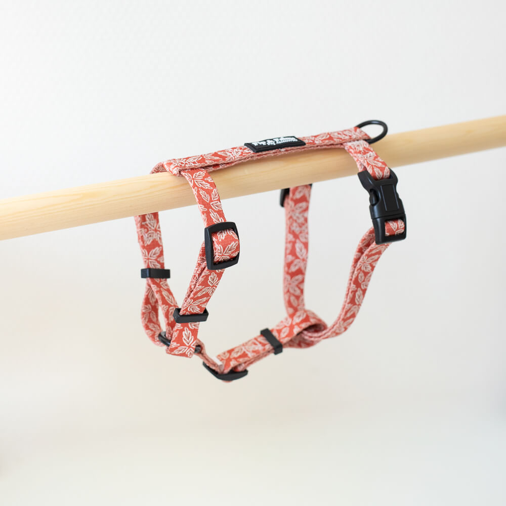 RTW Tuigje Fall feelin