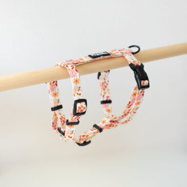 Tuigje Beautiful Blossom - Ready to Walk