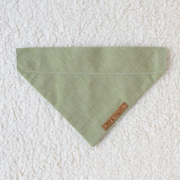 bandana basic Apple Green
