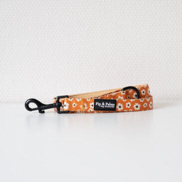 Webbing looplijn Ditzy Daisy