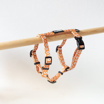 Webbing tuigje Ditzy Daisy