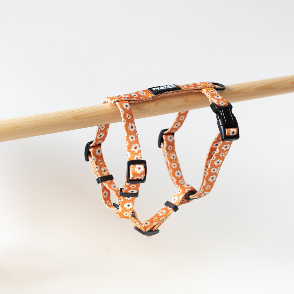 Webbing tuigje Ditzy Daisy