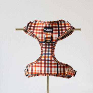 Harnas Cheeky Checks