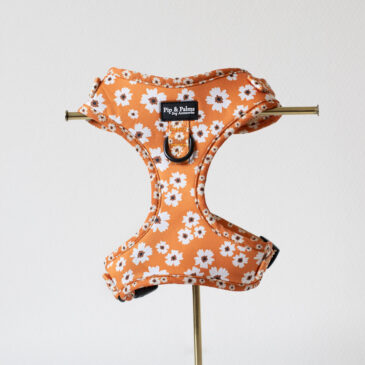 Harnas Ditzy Daisy