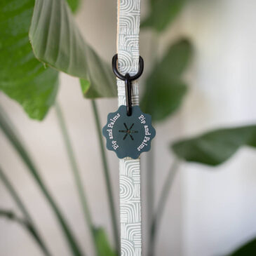 Poepzakjesdrager donkergroen