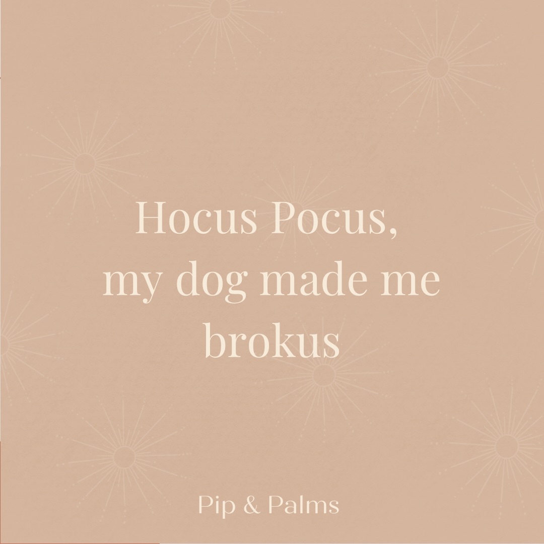 Hocus Pocus, my dog made me brokus 🐾😂#Dogquote #dogquotesofinstagram #dogquoteslove #dogquoteoftheday #dogquotesdaily