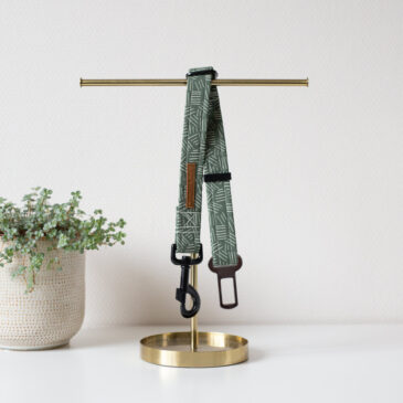 Autogordel groovy green