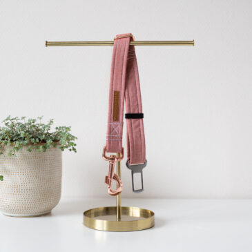 Autogordel basic red