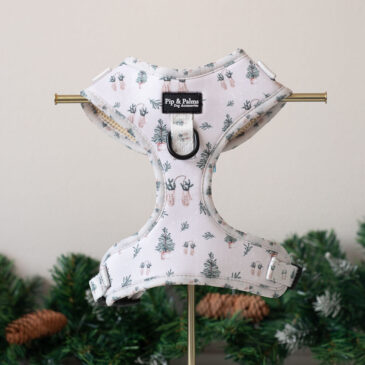 Harnas White Christmas