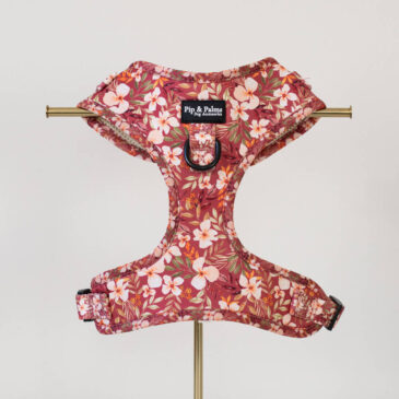 Harnas Fallen Flowers