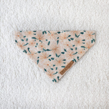 Bandana Springy Springfield