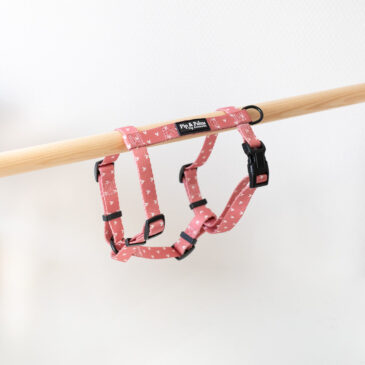 Tuigje Love is in the Air - Ready to Walk