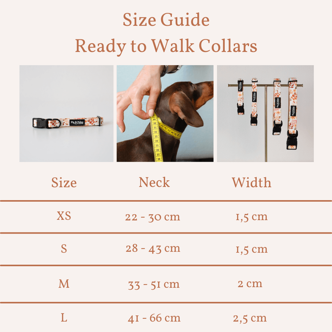 Size Guide - Collar Beautiful Blossom - Ready to Walk