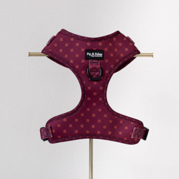 Harnas Burgundy Best