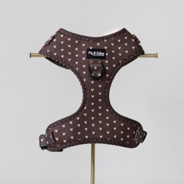 Harnas Choco Loco Love