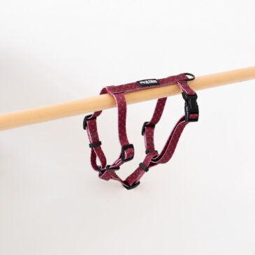 Tuigje Burgundy Best - Ready to Walk