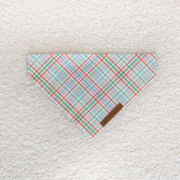 Bandana Pleasant Plaid