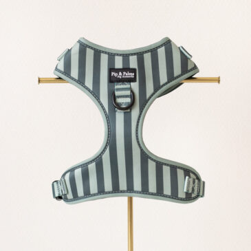 Harnas Stripy Stripes