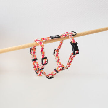 Tuigje S Tutti Frutti