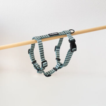 Tuigje S Stripy Stripes