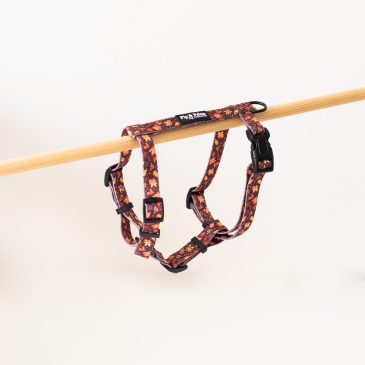 Tuigje Falling for You - Ready to Walk