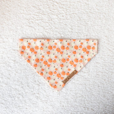 Bandana Pretty Pumpkins