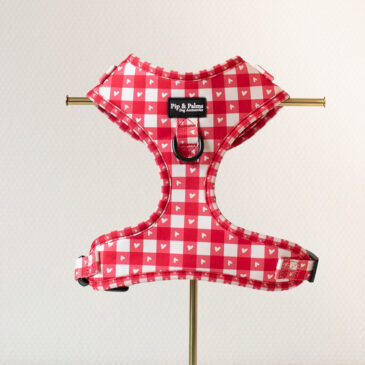 Harnas Love is Blind