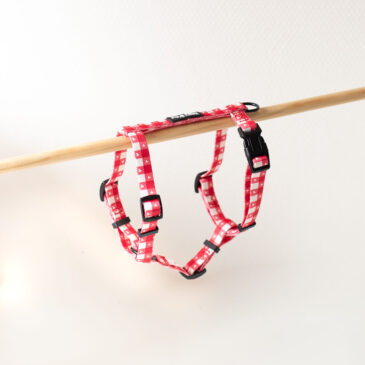 Tuigje Love is Blind